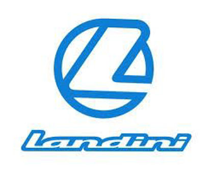 Picture for manufacturer Landini®