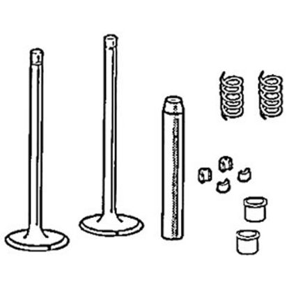 Picture of Cylinder Head, Valve, Spring To Fit Allis Chalmers® - NEW (Aftermarket)