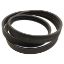 Picture of Belt, Beater Drive To Fit Massey Ferguson® - NEW (Aftermarket)