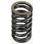 Picture of Valve Spring To Fit International/CaseIH® - NEW (Aftermarket)