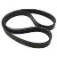 Picture of Belt, Seperator Drive To Fit International/CaseIH® - NEW (Aftermarket)